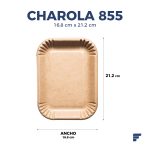 Charola 855 Fycamex